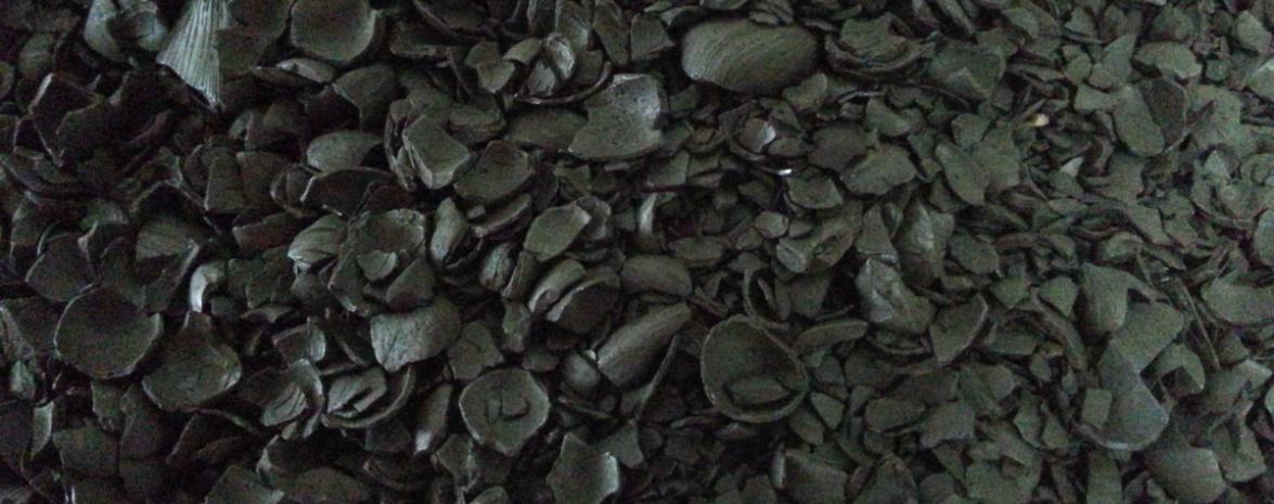 Carbonised Palm Kernel Shell Biomass