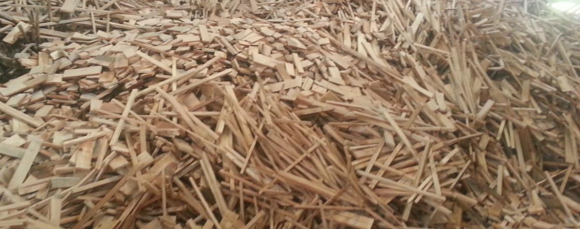 Wood Chip Biomass